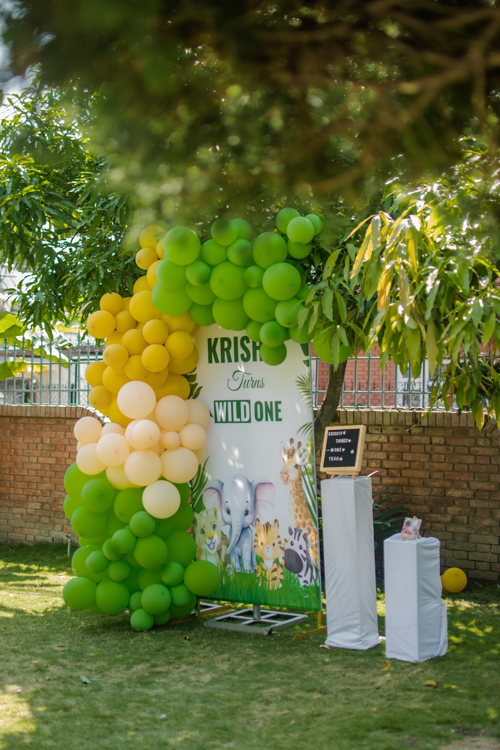 Wild One Jungle Theme Birthday Setup(BD )