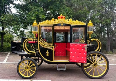 Electric Buggy