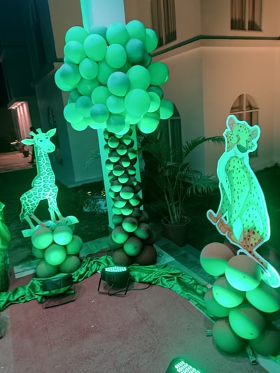 Jungle Safari Birthday Decoration (BD 32)