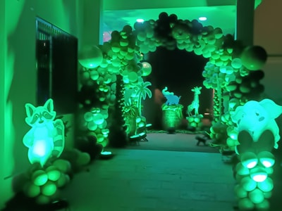 Vibrant Jungle Theme Birthday Decoration (BD 2)