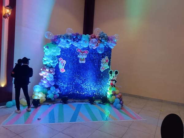 Disney Wonderland Birthday Decoration (BD 17)